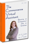 The Commonsense Virtual Assistant